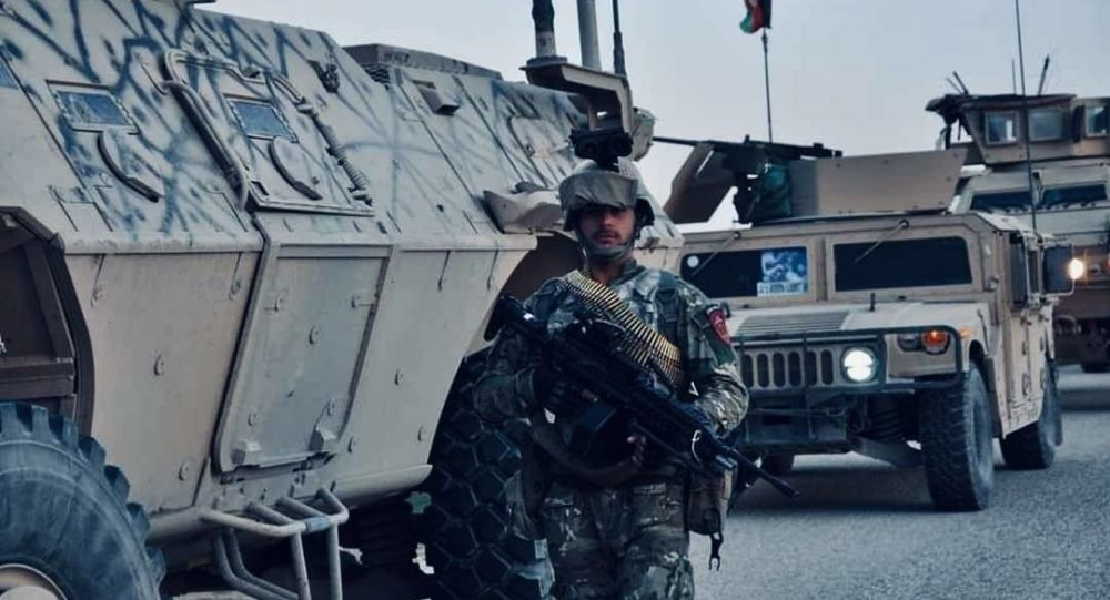 جنگجویان طالبان در یورش شان در هرات ۲۰ کشته و زخمی دادند