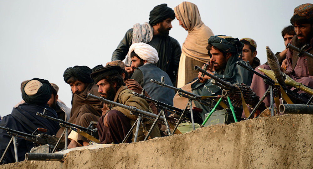 کشته شدن ۷ عضو طالبان در ولایت ننگرهار