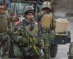 کشته شدن چهار سرباز ارتش در انفجار ماین در ولسوالی پشتون زرغون هرات