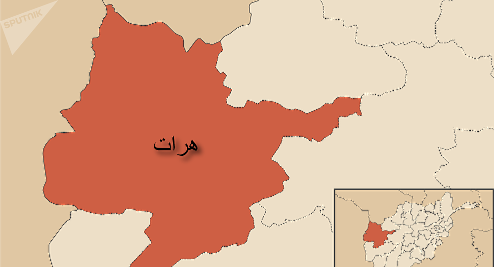 عاملان سرقت ۲۴ میلیون افغانی از بانک اسلامی در هرات بازداشت شدند