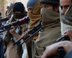 تلفات سنگین طالبان در ولایت زابل؛ ۱۹ طالب مسلح کشته و زخمی شدند