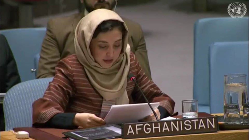 افغانستان عضو کمیسیون مقام زن سازمان ملل شد
