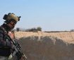 کشته شدن ۱۲ جنگجوی طالبان در خوست