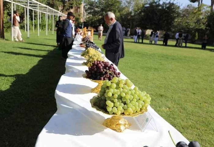 برگزاری پنج‌مین جشن‌وارۀ انگور، عسل و انجیر در هرات