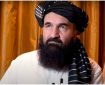 طالبان تنها «فقه حنفی» را به عنوان مرجع شرعی در تصمیم‌گیری‌ها می‌پذیرند