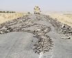 طالبان شاهراه عمومی قندهار- ارزگان را تخریب کردند