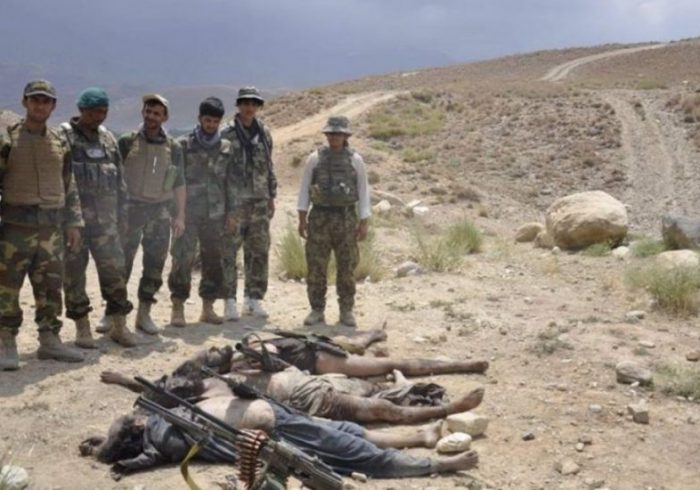 کشته شدن ۱۷ جنگجوی طالب در هرات