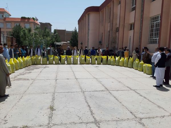 به یک ‌هزار زن در هرات، ۵۰هزار مرغ تخمی توزیع می‌شود