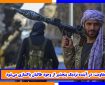 جبهه مقاومت: در آینده نزدیک پنجشیر از وجود طالبان پاکسازی می‌شود