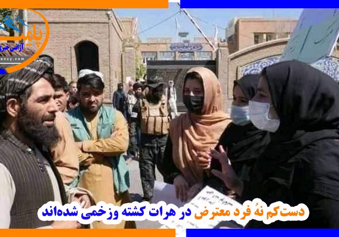 ۹ فرد معترض در هرات کشته وزخمی شده‌اند