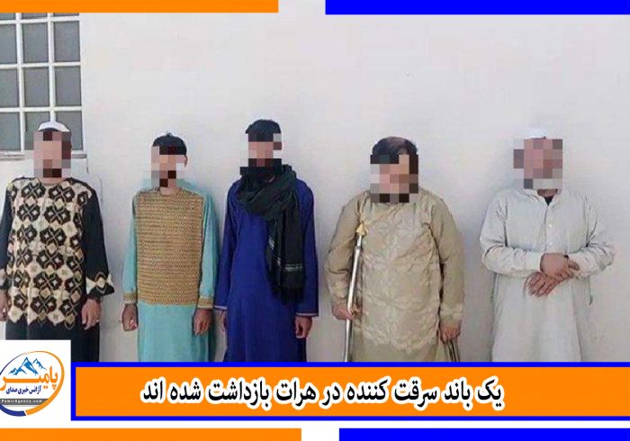 یک باند سرقت کننده در هرات بازداشت شده اند