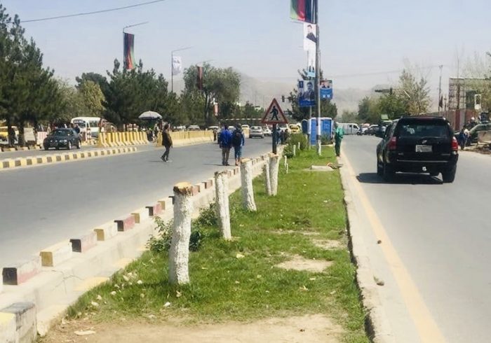 وزارت داخله طالبان: عوامل قطع درختان جریمه خواهند شد