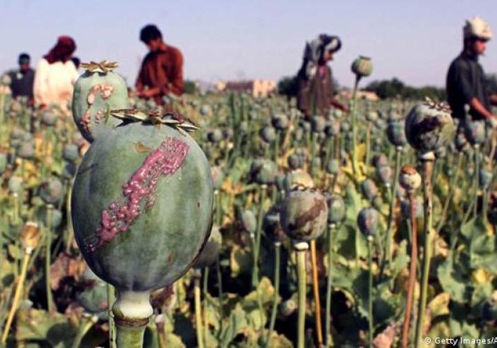 افغانستان در سال ۲۰۲۱ نزدیک به ۳میلیارد دالر مواد مخدر تولید کرده است