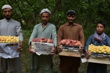 آمادگی ایران برای سرمایه‌گذاری در بخش کشاورزی افغانستان