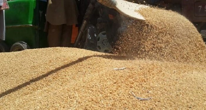 طالبان صادرات گندم از افغانستان را ممنوع کرد