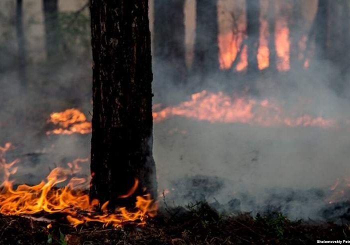آتش سوزی گسترده جنگلات کنر و عدم امکانات مهار!