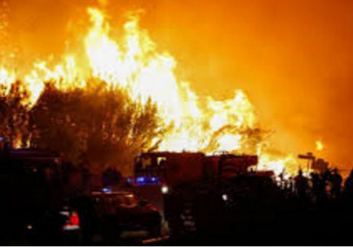 اعلام وضعیت اضطراری در پرتغال در پی آتش سوزی گسترده