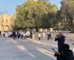 یورش صهیونیست‌ها به مسجد الاقصی برای دومین روز متوالی