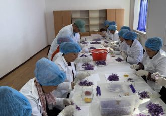 زعفران تاجیکستان برای نخستین بار وارد بازار جهانی شد