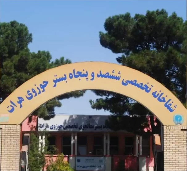 افزایش مبتلایان به بیماری های روانی در هرات