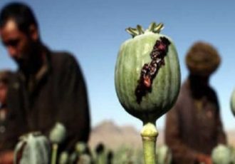 پوتین: قاچاق مواد مخدر در افغانستان رو به افزایش است