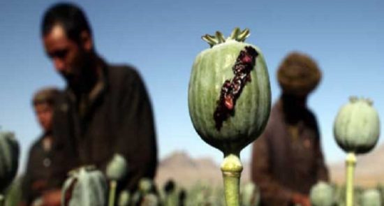نگرانی افغانستان از افزایش قاچاق مواد مخدر از افغانستان