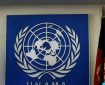 درخواست سازمان ملل از افغانستان برای کاهش خشونت علیه زنان