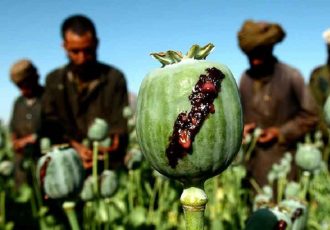 افزایش ۵۰ درصدی قیمت مواد مخدر در افغانستان