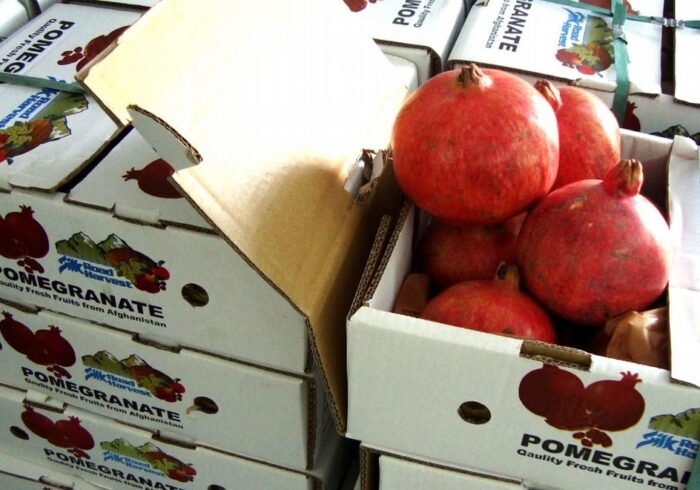 روند صادرات میوه تازه به بازارهای جهانی آغاز شد