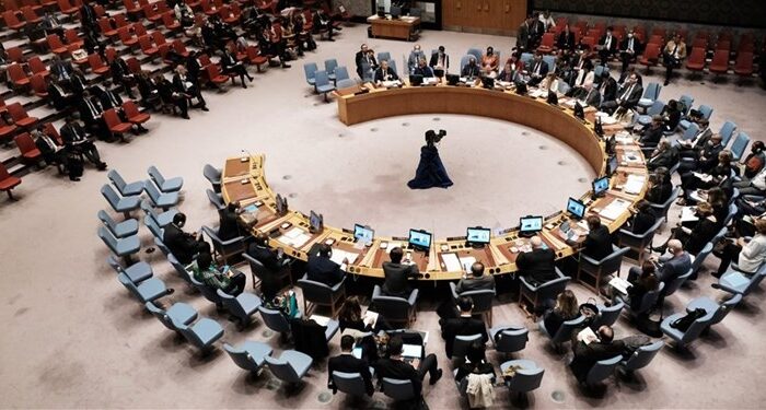شورای امنیت سازمان ملل کودتا در نیجر را محکوم کرد
