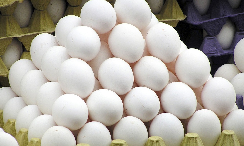 نگرانی‌ها از افزایش قیمت تخم مرغ با سرد شدن هوا در کشور