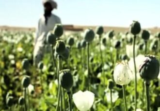 تاجیکستان: وعده‌های طالبان برای مبارزه با مواد مخدر حقیقت ندارد