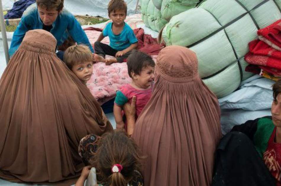 کارشناسان حقوق بشر خواستار توقف روند اخراج ۱.۴ میلیون پناهجوی افغانستانی از پاکستان شد