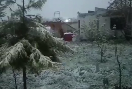 برف‌ و باران به کشت‌زارها و درخت‌های مثمر زیان وارد کرده است