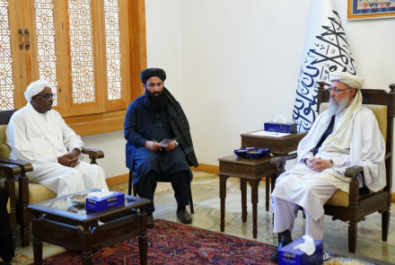 دیدار عبدالسلام حنفی با معاون سازمان همکاری اسلامی در کابل