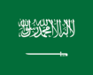 عربستان سعودی خواستار ایجاد دولت مستقل فلسطینی شد