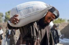 سازمان جهانی غذا نیمی از جمعیت افغانستان به کمک‌های بشردوستانه نیازمند است