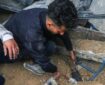 کشف حدود ۱۴۰ گور دسته جمعی در نوار غزه