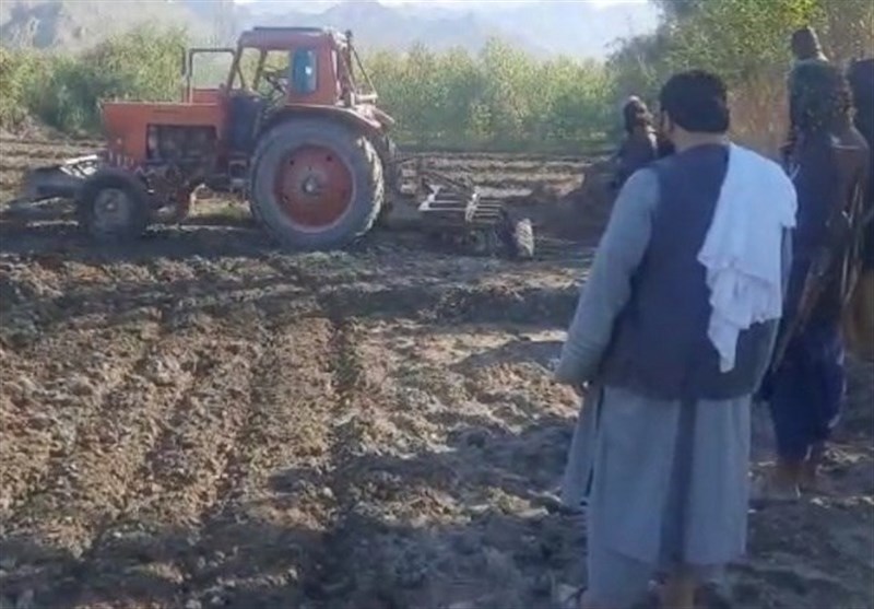 وزارت کشورطالبان:افغانستان برای نابودی کامل مواد مخدر اراده قوی دارد