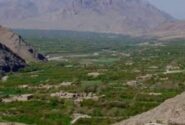 بازداشت ۵۵نفر در ولسوالی ارزگان خاص توسط طالبان