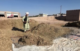 یوناما:به مناسبت روز جهانی کاهش خطر آفات طبیعی خواستار حمایت بیشتر بین‌المللی از افغانستان شد