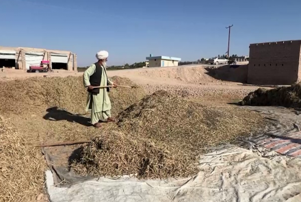 یوناما:به مناسبت روز جهانی کاهش خطر آفات طبیعی خواستار حمایت بیشتر بین‌المللی از افغانستان شد