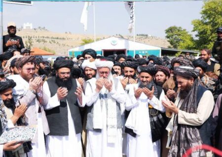 ملاعبدالغنی برادر:کشت خشخاش به صفر رسیده است