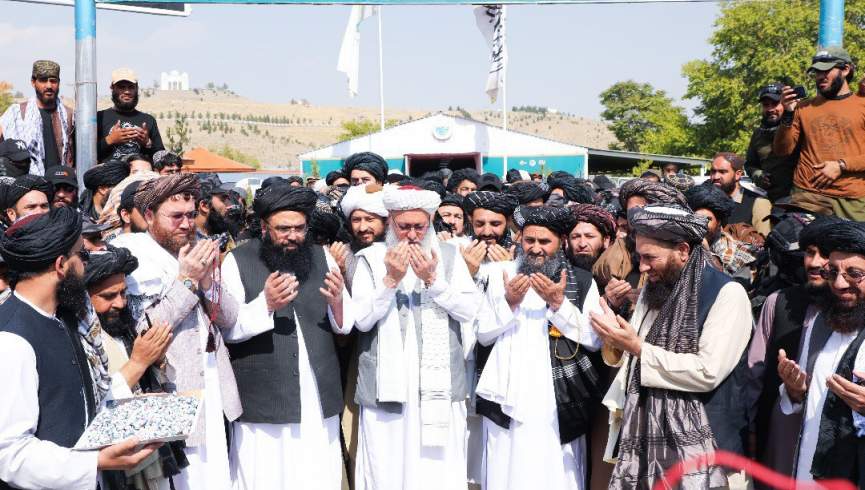 ملاعبدالغنی برادر:کشت خشخاش به صفر رسیده است