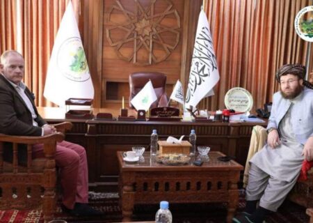 موسسه زرع برای صلح پروژه ۹ میلیارد دالری برای مقابله با تغییرات اقلیمی در افغانستان سرمایه‌گذاری می‌کند