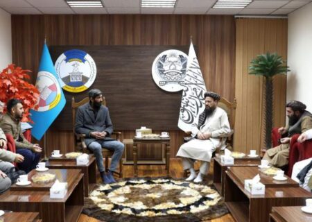 وزارت آب و انرژی: سرمایه‌گذار ترکی علاقه‌مند سرمایه‌گذاری روی پروژه‌های برق افغانستان است