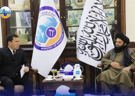 دیدار وزیر معادن طالبان با رئیس پروژه تاپی