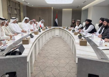امیرخان متقی با وزیر اقتصاد امارات متحده عربی دیدار کرد