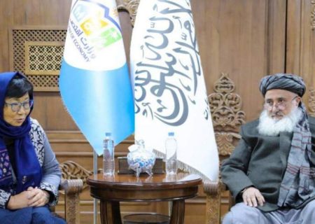 وزیر اقتصاد با رئیس نمایندگی سیاسی سازمان ملل در افغانستان دیدار کرد