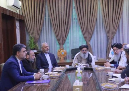 وزیر صحت عامه با سفیر ایران در کابل دیدار کرد